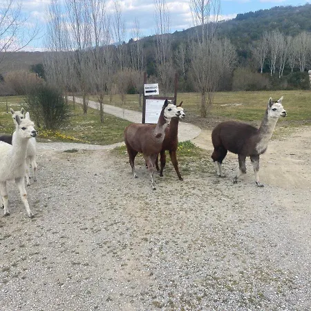 House Oasi Fiume Alento Prignano Cilento