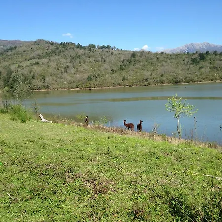 Guest house Green House Oasi Fiume Alento *